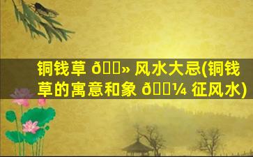 铜钱草 🌻 风水大忌(铜钱草的寓意和象 🌼 征风水)